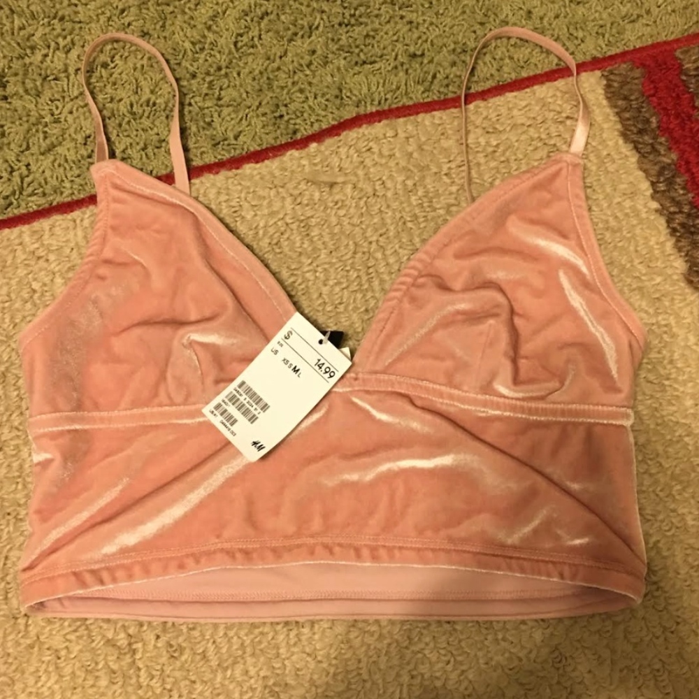 H&M Baby Pink Velvet Top